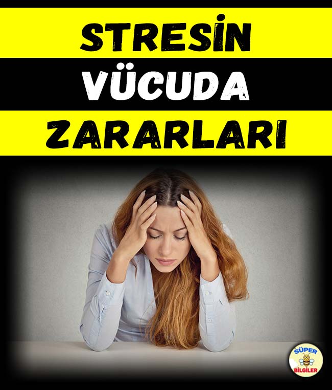 Stresin Vücuda Zararları 2