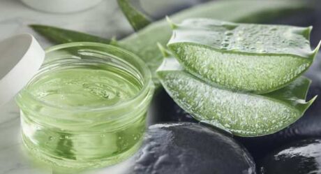 Aloe vera yüze yararları nedir? Aloe vera ile cilt bakımı iyi mi yapılır?