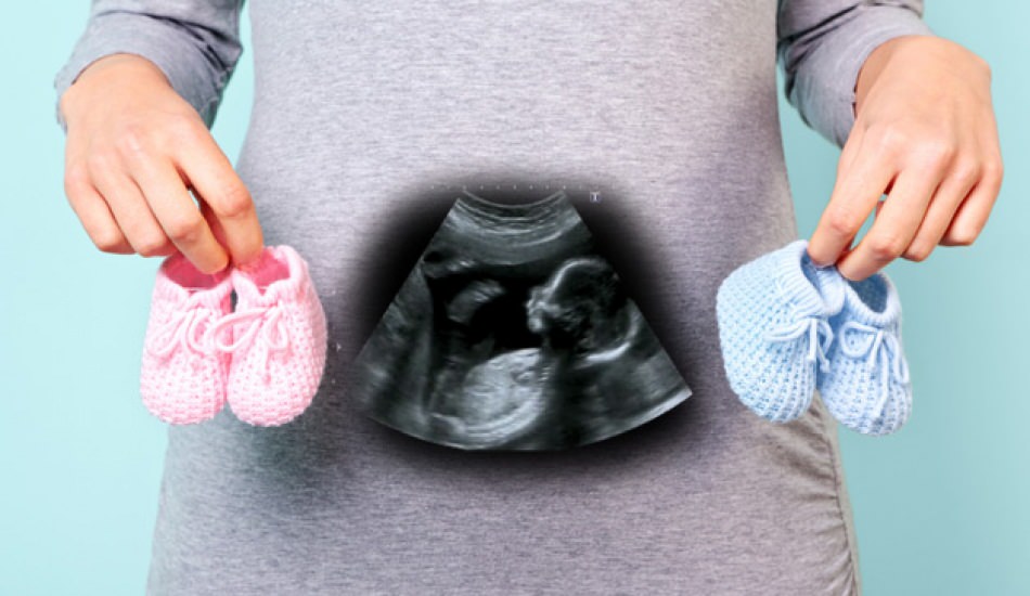 Hamileliğin ilk üç ayında bebeğin cinsiyeti belli olur mu? 1