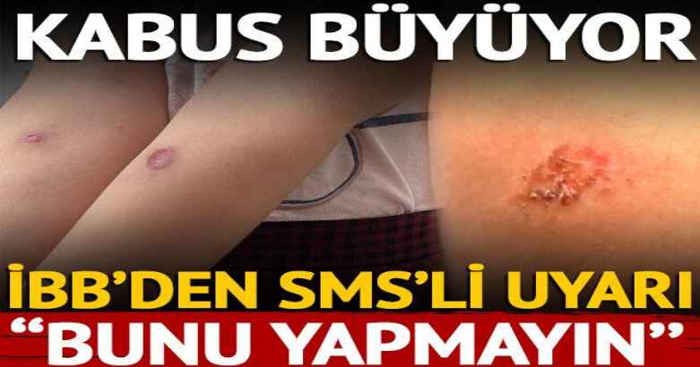 İstanbul'da sivrisinek kabusu büyüyor! İBB SMS ile uyardı 4