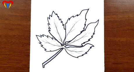 yaprak çizimi – kolay sonbahar çizimleri – kolay çizimler, basit, sevimli, güzel, tatlı, resim
