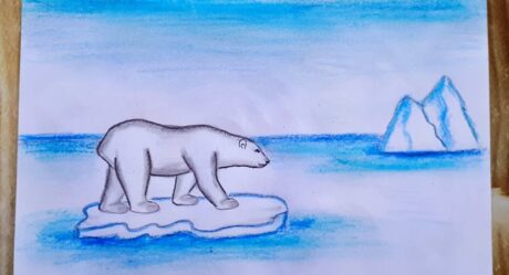 GLOBAL WARMING DRAWING / THE POLAR BEAR DRAWING / KÜRESEL ISINMA RESMİ / KUTUP AYISI ÇİZİMİ / KUTUP