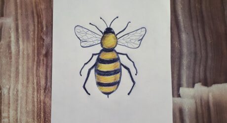 HOW TO DRAW A BEE / BEE DRAWING / KOLAY ARI NASIL ÇİZİLİR / ARI ÇİZİMİ @Sebnem ile Cizim Zamani