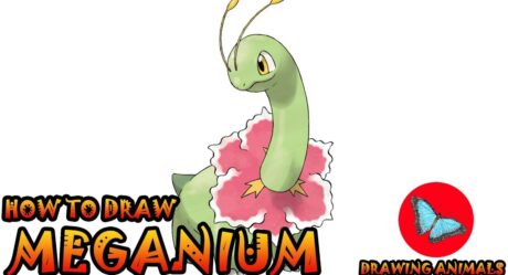 How To Draw Meganium Pokemon | Drawing Animals