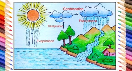 How to draw Water Cycle easy | Water Cycle drawing step by step for beginners