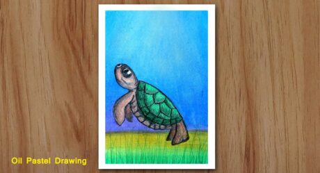 Comment dessiner un bébé tortue étape par étape avec le pastel à l’huile, dessin de tortue pour les débutants