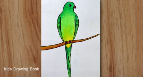 Comment dessiner un perroquet avec des pastels à l’huile, dessin d’oiseau perroquet pour les débutants
