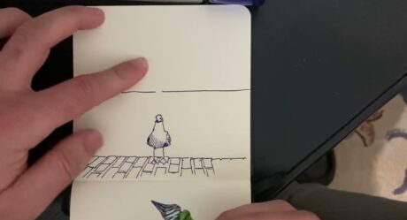 How to draw a seagull | Simple seagull drawing for the beginners