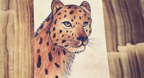 LEOPARD DRAWING TIGER DRAWING / ANIMAL DRAWING / LEOPAR ÇİZİMİ / KAPLAN ÇİZİMİ / HAYVAN ÇİZİMİ /