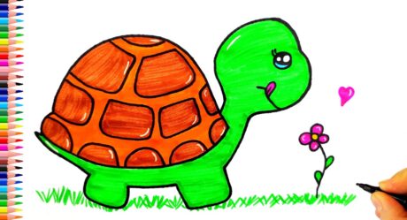 Sevimli Kaplumbağa Çizimi – Kaplumbağa Nasıl Çizilir? Kolay Çizimler