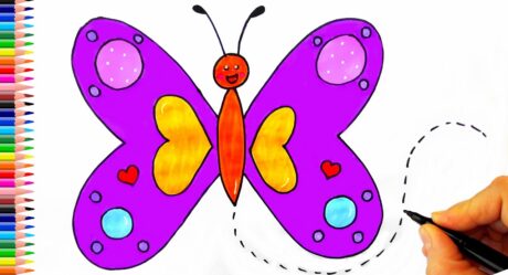 Sevimli Kelebek Çizimi Kelebek Nasıl Çizilir? – Kolay Kelebek Çizimi – Drawing Butterfly
