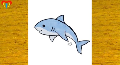 köpek balığı çizimi – kolay hayvan çizimleri – kolay çizimler, basit, sevimli, güzel, resim