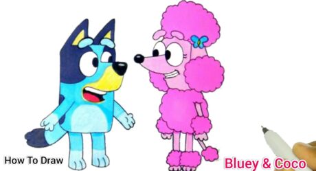 Bluey & Coco BEST FRIENDS | How To Draw Bluey & Coco From Bluey | Cartooning Cute Drawings