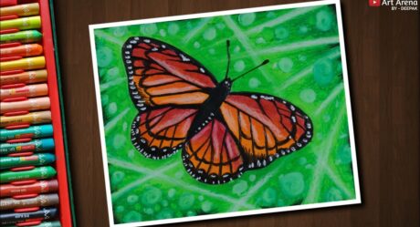 Butterfly Drawing for beginners with Oil Pastels – step by step