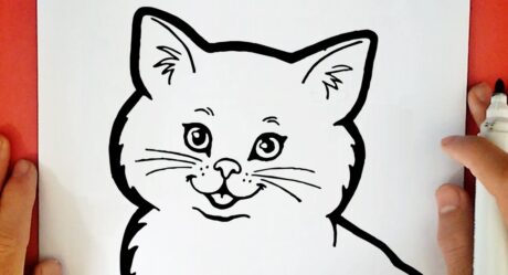 Comment dessiner un chat kawaii