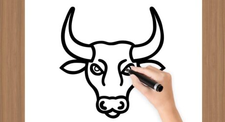 COMO DIBUJAR LA CARA DE UN TORO PASO A PASO