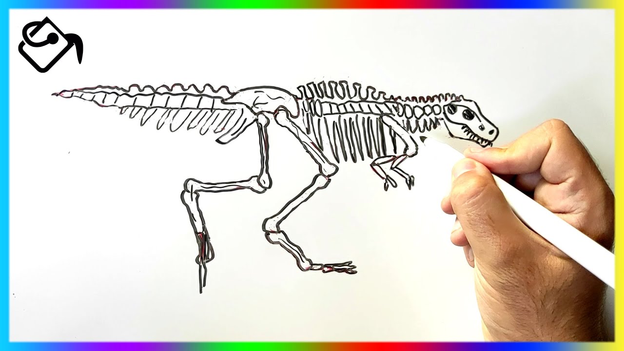 Comment dessiner un SQUELETTE dinosaure dessin FACILE