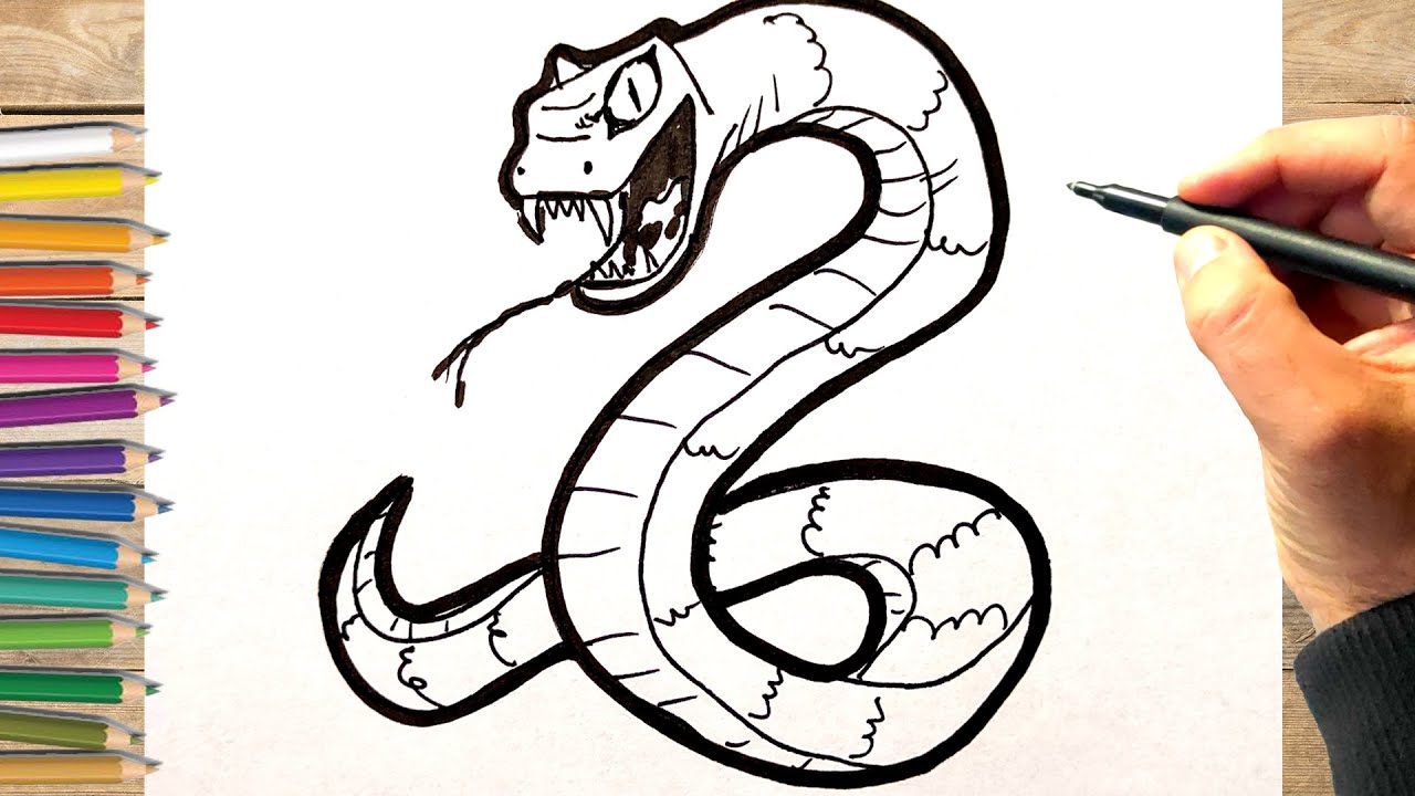 Comment dessiner un serpent dessin facile