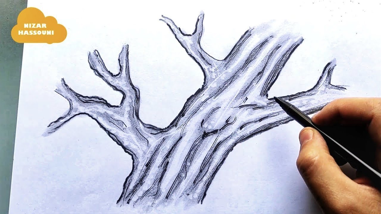 Comment dessiner un tronc d'arbre dessin tronc arbre
