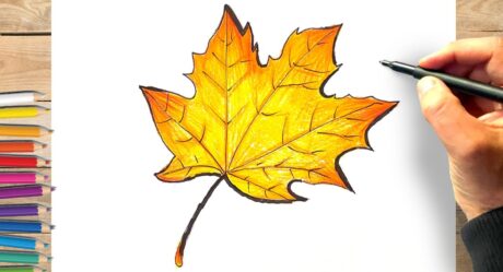 Comment dessiner une feuille d arbre automne facilement