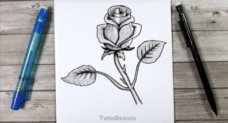 Comment dessiner une rose au crayon de papier et au stylo noir | Tuto Dessin étape par étape