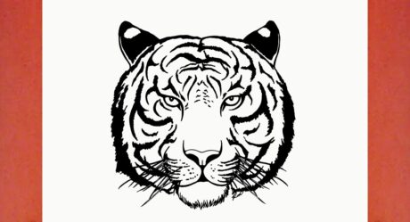 How to draw a tiger (animals)