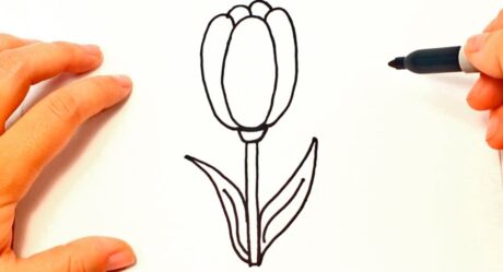 Cómo dibujar un Tulipán paso a paso | Dibujo fácil de Tulipán