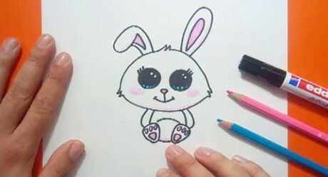 How to draw a rabbit step by step 8 | How to draw a rabbit 8
