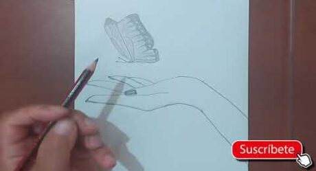 How to draw a butterfly step by step in easy pencil