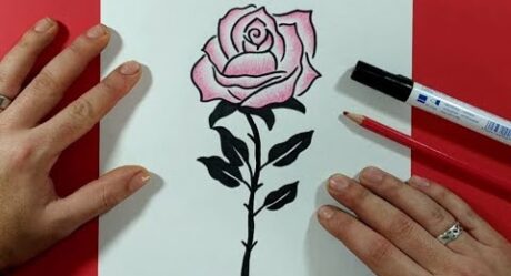 How to draw a rose step by step 18 | How to draw a rose 18