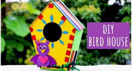 DIY Bird House How To Make | DIY Home Decor Ideas