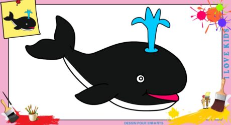 Dessin baleine KAWAII FACILE – Comment dessiner une baleine KAWAII FACILEMENT