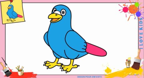 Dessin oiseau KAWAII FACILE – Comment dessiner un oiseau KAWAII FACILEMENT
