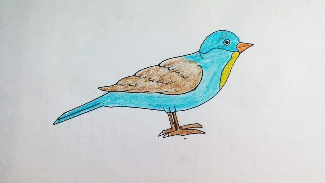 Simple bird. Рисунок украшения птиц 1 класс. Bird simple. Draw a Bird for Kids. Easy drawing Bird.