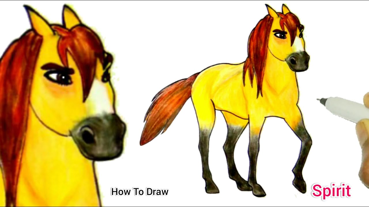 Dreamworks Spirit Untamed Horse How To Draw A Horse / Spirit Untamed
