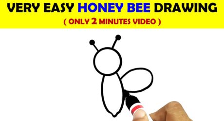 HOW TO DRAW HONEY BEE EASY | HONEY BEE DRAWING VIDEO