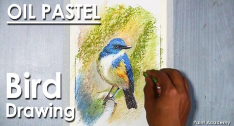 How to Draw Bird in Oil Pastel : Himalayan bluetail