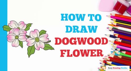 Comment dessiner des fleurs de cornouiller en quelques étapes faciles : tutoriel de dessin pour les artistes débutants