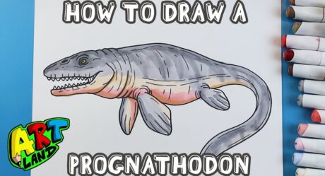 How to Draw a PROGNATHODON!!!