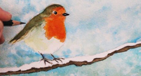 How to Draw and paint a Robin: Step by Step