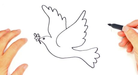 Cómo dibujar La Paloma de la Paz | Dibujos Lindos