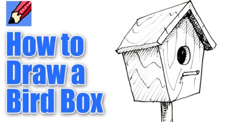 How to draw a Bird Box Real Easy