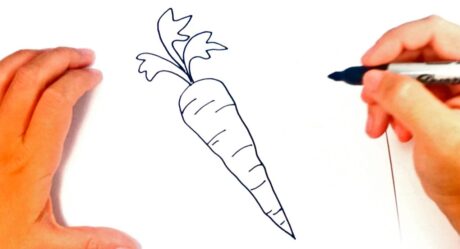 Comment dessiner une carotte | Tutoriel Carrot Easy Draw