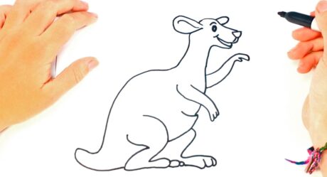 Comment dessiner un kangourou étape par étape | Leçon de dessin de kangourou