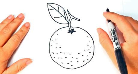 Comment dessiner un Oranje | Tutoriel de dessin facile de fruits Oranje