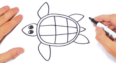 How to draw a Turtle Step by Step | Easy drawings