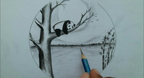 How to draw a panda / pencil scenery sketch for beginners / pencil shading techniques