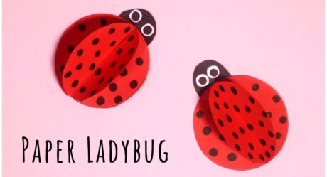 Ladybug Paper Craft Tutorial | Easy Paper Crafts for Kids