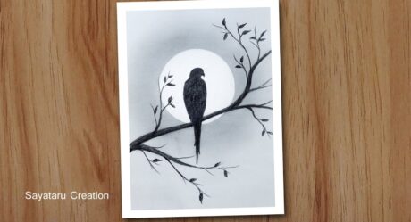 Parrot sitting in moonlight drawing with pencil, Pencil drawing for beginners