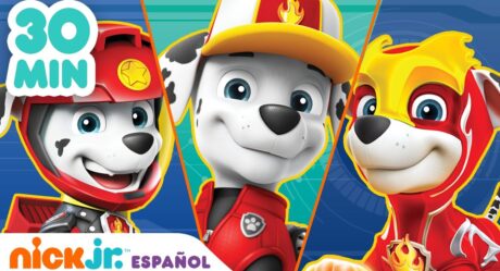 Paw Patrol, Patrulla de cachorros | 30 MIN de los mejores momentos de Marshall | Nick Jr. en Español